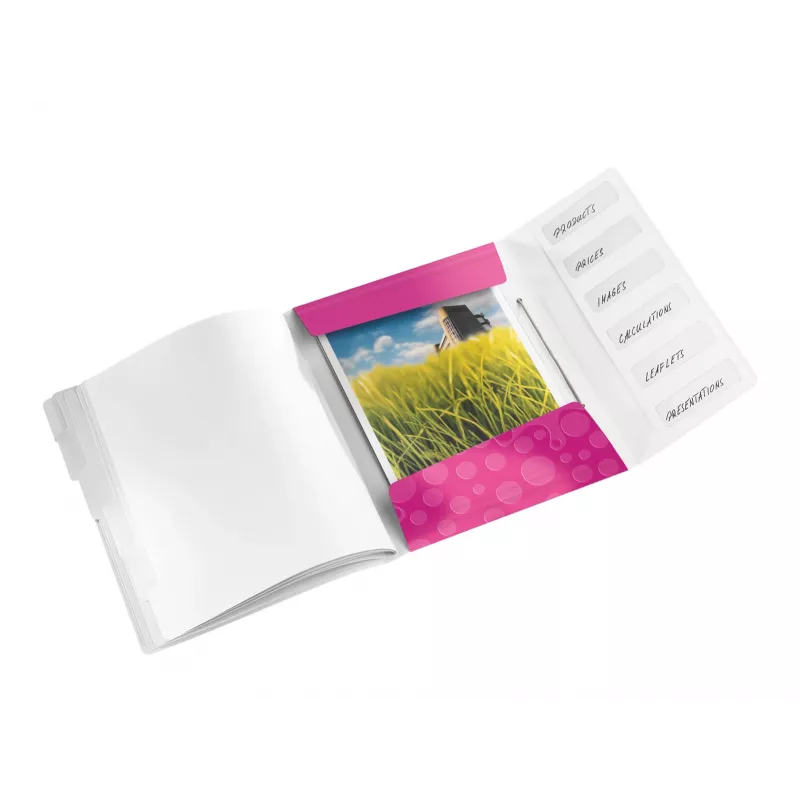 Leitz Dossier WOW PP com 6 separadores, A4, polipropileno (PP), metálico, rosa, 200 folhas, 260 mm, 17 mm