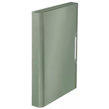Pasta de arquivo concertina extensível Leitz em PP, A4, polipropileno (PP), verde, 250 folhas, 80 g/m², 6 divisórias