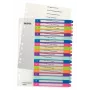 Esselte 1245-00-00 separador numérico de polipropileno (PP) multicolor