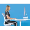 Leitz Suporte para monitor ajustável Ergo WOW, 68,6 cm (27