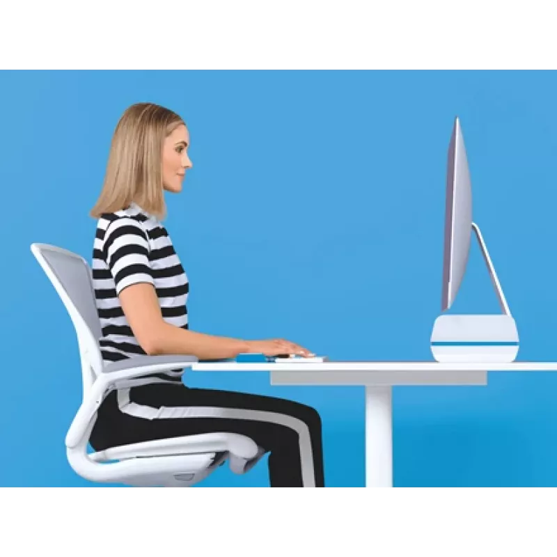 Leitz Suporte para monitor ajustável Ergo WOW, 68,6 cm (27