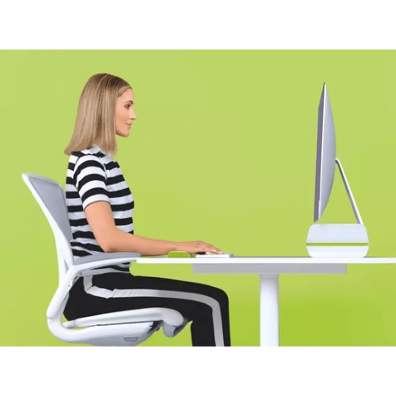 Leitz Suporte para monitor ajustável Ergo WOW, 68,6 cm (27