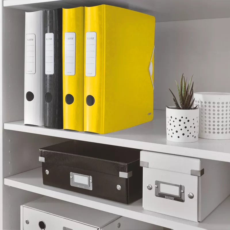 Leitz Dossier de arquivo Active PP WOW A4/65 mm, A4, anel D, armazenamento, polyfoam, amarelo, 350 folhas
