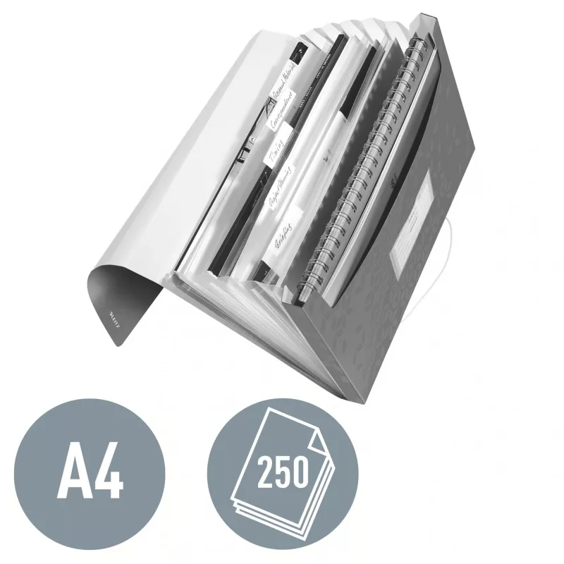 Leitz Pasta de projeto WOW PP, pasta extensível, A4, polipropileno (PP), branco, formato horizontal, 250 folhas