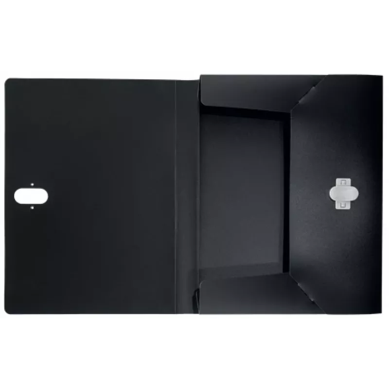 Leitz Recycle Box File, pasta de assinaturas, A4, polipropileno (PP), preto, mate, 250 folhas