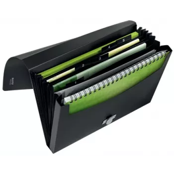 Leitz Recycle pasta concertina extensível, pasta de assinaturas, A4, polipropileno (PP), preto, brilhante, 250 folhas