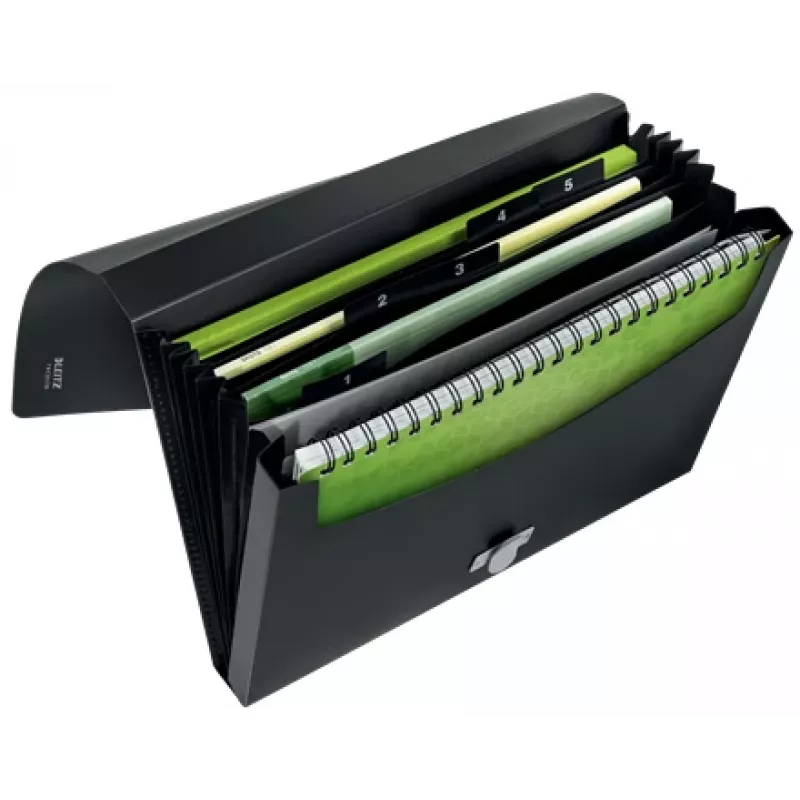 Leitz Recycle pasta concertina extensível, pasta de assinaturas, A4, polipropileno (PP), preto, brilhante, 250 folhas