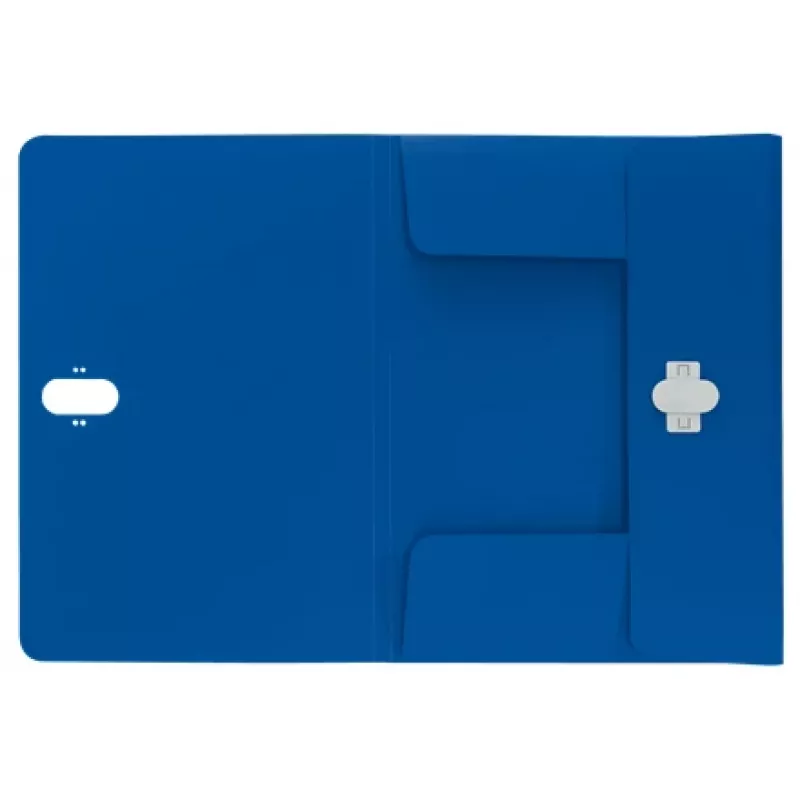 Leitz Recycle pasta com 3 abas, pasta de arquivo, A4, polipropileno (PP), azul, horizontal, 150 folhas