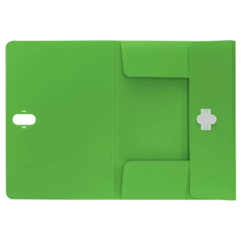 Leitz Recycle pasta com 3 abas, pasta de arquivo, A4, polipropileno (PP), verde, horizontal, 150 folhas
