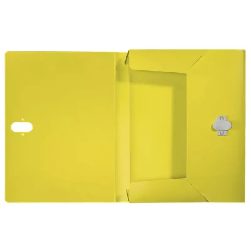 Leitz Recycle caixa de arquivo, dossiê convencional, A4, polipropileno (PP), amarelo, horizontal/vertical, 250 folhas