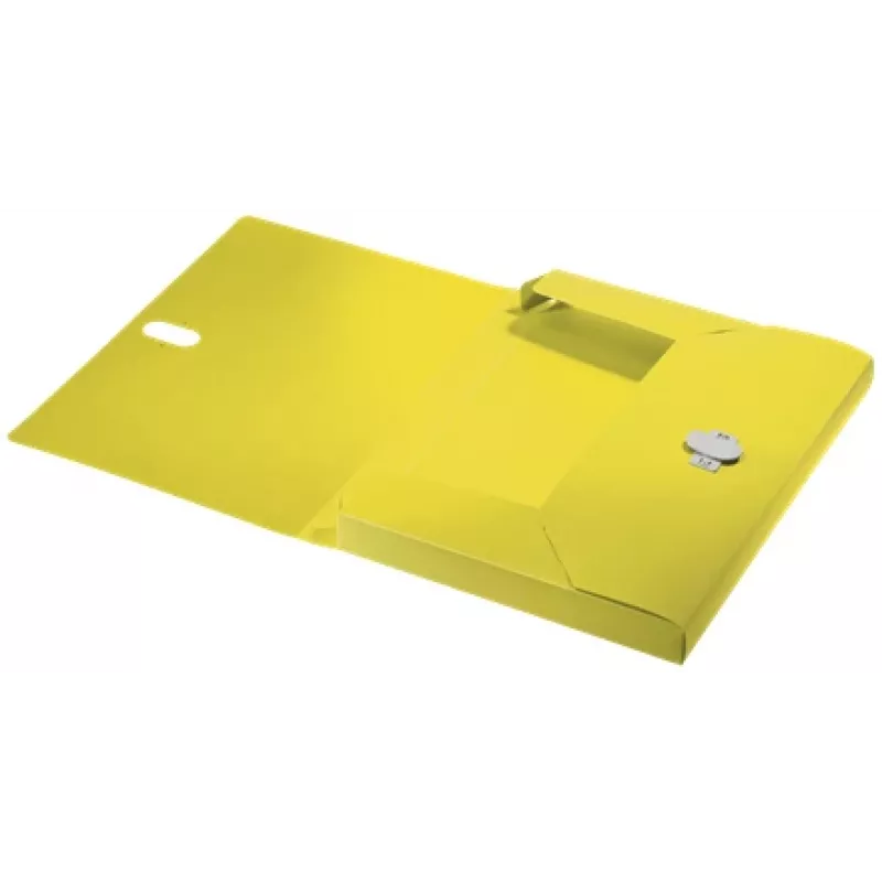 Leitz Recycle caixa de arquivo, dossiê convencional, A4, polipropileno (PP), amarelo, horizontal/vertical, 250 folhas