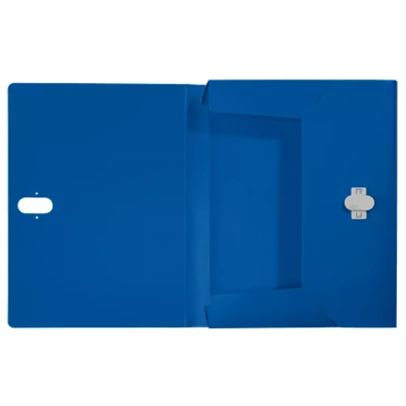 Leitz Recycle caixa de arquivo, dossiê convencional, A4, polipropileno (PP), azul, horizontal/vertical, 250 folhas
