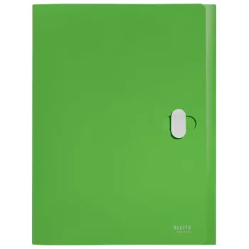 Leitz Recycle caixa de arquivo, dossiê convencional, A4, polipropileno (PP), verde, horizontal/vertical, 250 folhas