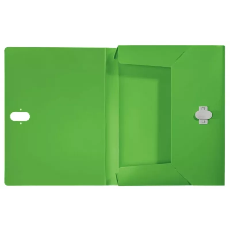 Leitz Recycle caixa de arquivo, dossiê convencional, A4, polipropileno (PP), verde, horizontal/vertical, 250 folhas