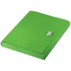 Leitz Recycle caixa de arquivo, dossiê convencional, A4, polipropileno (PP), verde, horizontal/vertical, 250 folhas