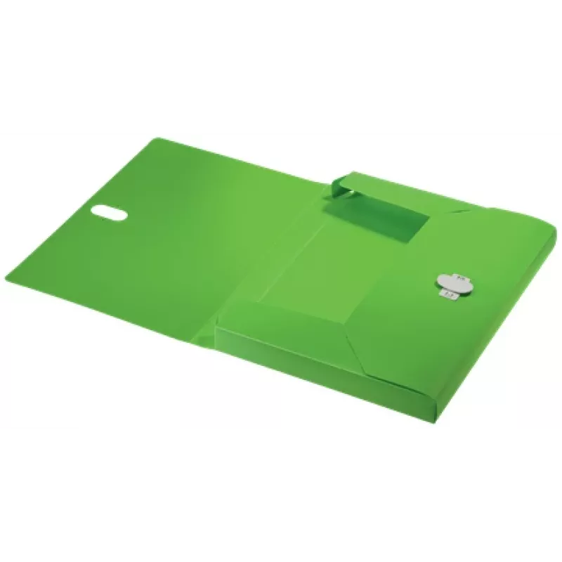 Leitz Recycle caixa de arquivo, dossiê convencional, A4, polipropileno (PP), verde, horizontal/vertical, 250 folhas