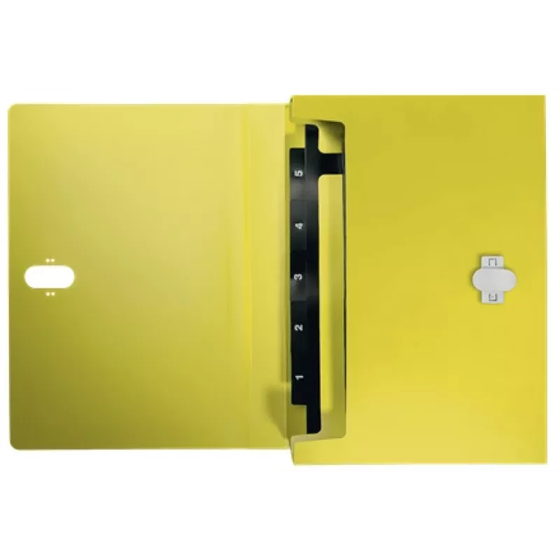 Leitz Recycle pasta de fole extensível, dossiê convencional, A4, polipropileno (PP), amarelo, horizontal, 250 folhas