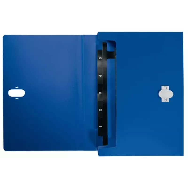 Leitz Recycle pasta de fole extensível, dossiê convencional, A4, polipropileno (PP), azul, horizontal, 250 folhas