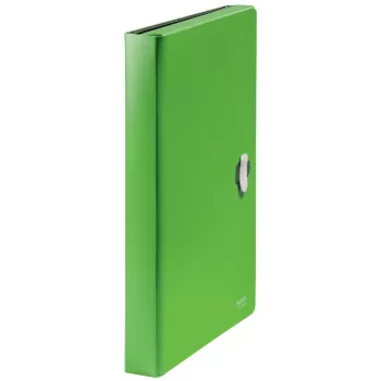 Leitz Recycle pasta de fole extensível, dossiê convencional, A4, polipropileno (PP), verde, horizontal, 250 folhas