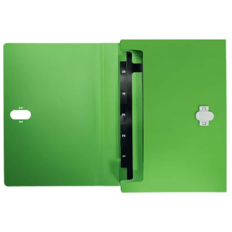 Leitz Recycle pasta de fole extensível, dossiê convencional, A4, polipropileno (PP), verde, horizontal, 250 folhas