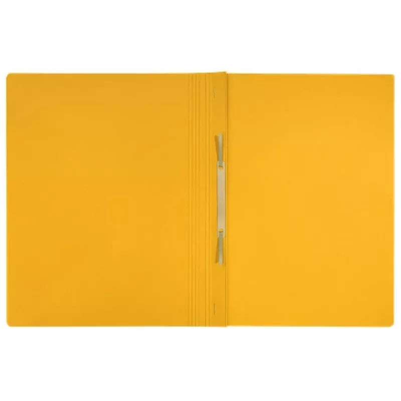 Leitz Recycle Pasta plana de cartão, dossier convencional, A4, cartão, Amarelo, Horizontal/Vertical, 250 folhas