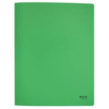 Leitz Recycle Dossier plano de cartão, dossier convencional, A4, cartão, Verde, Horizontal/Vertical, 250 folhas