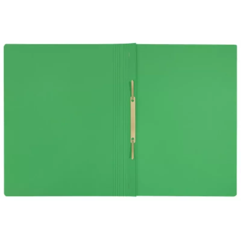 Leitz Recycle Dossier plano de cartão, dossier convencional, A4, cartão, Verde, Horizontal/Vertical, 250 folhas