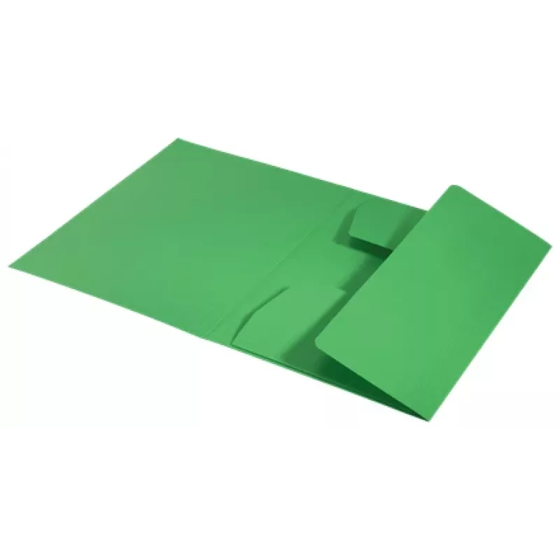 Leitz Recycle Pasta de cartão com 3 abas, pasta convencional, A4, cartão, Verde, Horizontal/Vertical, 250 folhas