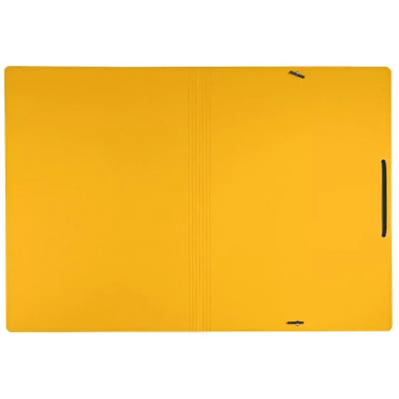 Leitz Recycle Pasta de cartão com elásticos, pasta convencional, A4, cartão, Amarelo, Horizontal/Vertical, 250 folhas