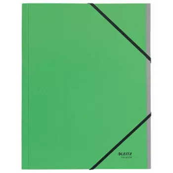 Leitz Recycle Separador de fichas, pasta de assinaturas, A4, cartão, Verde, 430 g/m², elástico