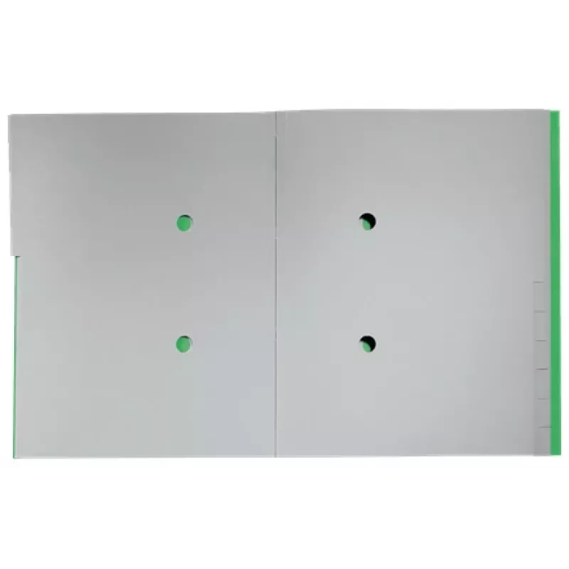 Leitz Recycle Livro de registo de cartão, dossier convencional, A4, cartão, Verde, 430 g/m², elástico