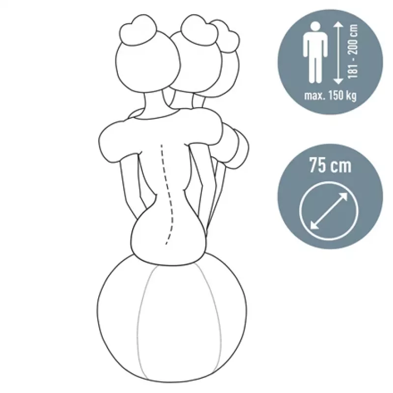 Leitz Ergo Bola de assento ativa com função de paragem 65 cm, Cinzento, tamanho normal, 150 kg, adultos, adulto, TÜV