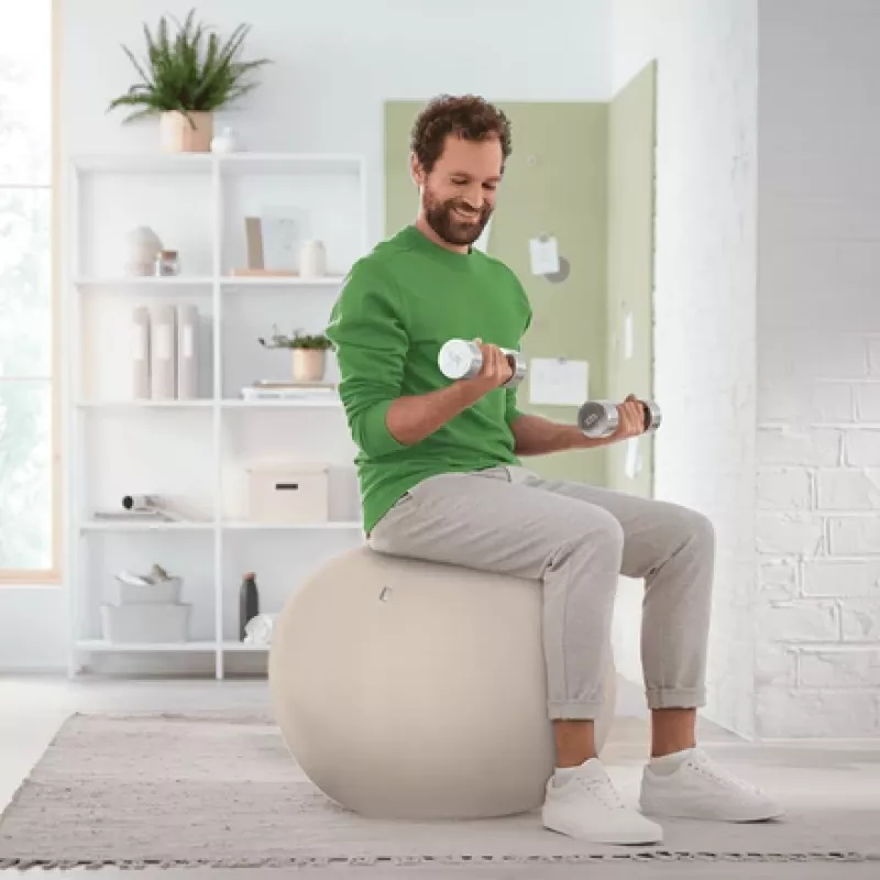 Leitz Ergo Bola de assento ativa com função de paragem 65 cm, Cinzento, tamanho normal, 150 kg, adultos, adulto, TÜV