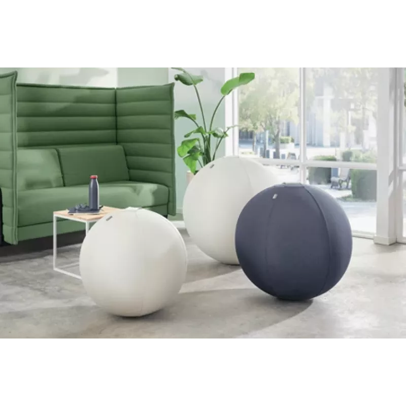 Leitz Ergo Bola de assento ativa com função de paragem 65 cm, Cinzento, tamanho normal, 150 kg, adultos, adulto, TÜV