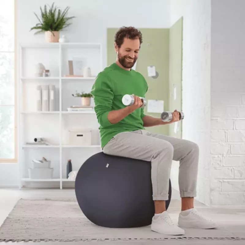 Leitz Ergo Bola de assento ativa com função de paragem 65 cm, Cinzento, tamanho normal, 150 kg, TÜV, 65 cm, 2,87 kg