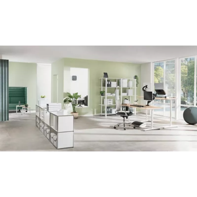 Leitz Ergo Bola de assento ativa com função de paragem 65 cm, Cinzento, tamanho normal, 150 kg, TÜV, 65 cm, 2,87 kg