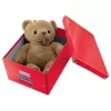 Leitz Caixa Click & Store WOW Cube Large caixa de arrumação, caixa de arrumação, vermelho, retangular, cartão, monocromático, interior