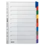 Leitz 43210000 Separador com abas em branco cartão multicolor
