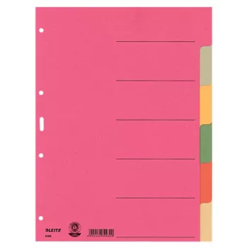 Leitz 43580000 Separador com abas em branco cartão multicolor