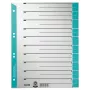 Leitz 16520030 índice com abas numérico cartão azul, cinzento