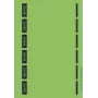 Leitz 16862055 Etiqueta autocolante retangular verde 150 unid.