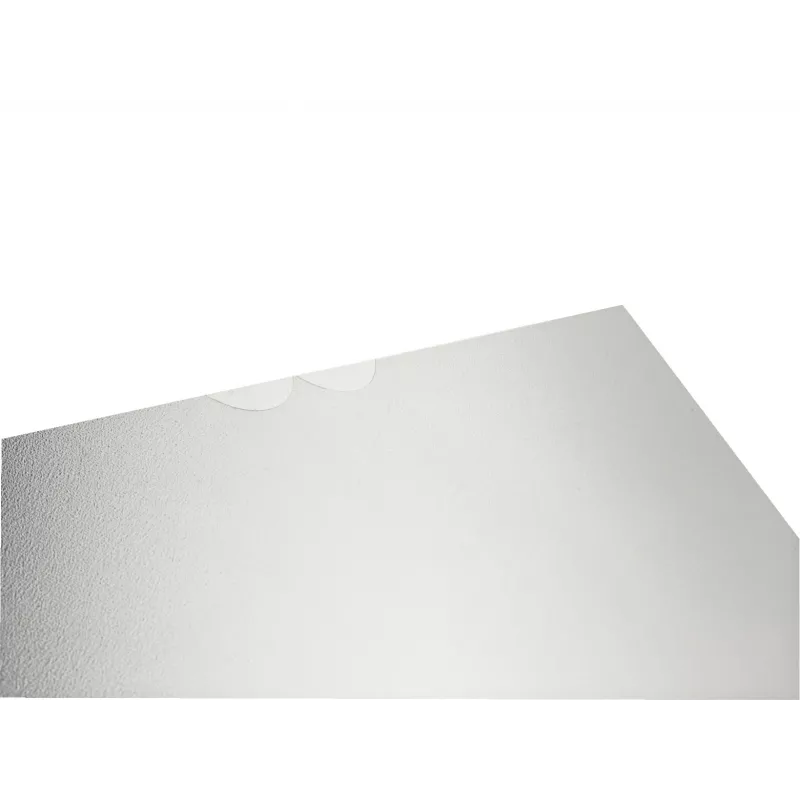 Leitz 47200003 capa transparente A4 polipropileno (PP)