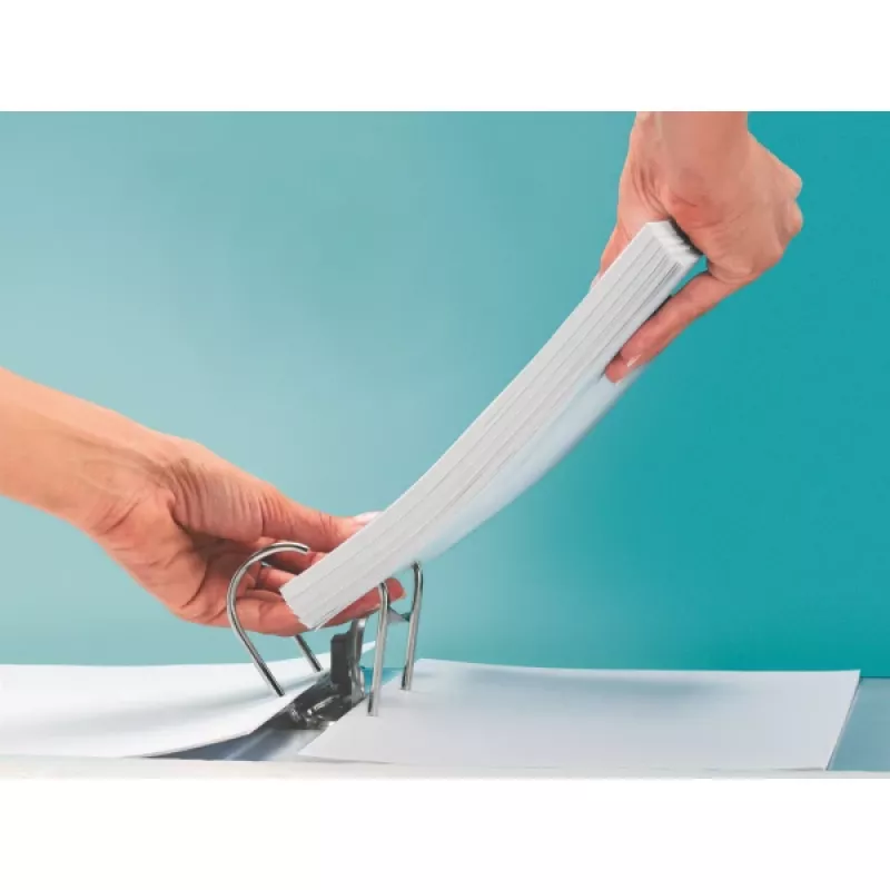 Leitz LEITZ dossiê standard A4 80 mm, com ranhuras, cartão (RC), largura da lombada 80 mm (1080-50-25)
