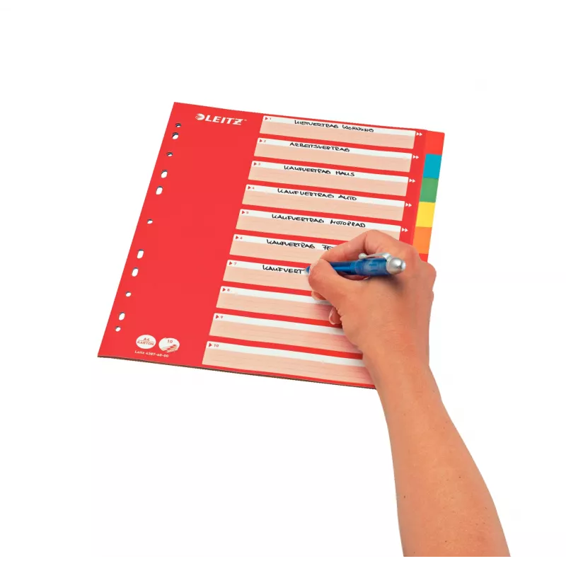 Leitz 43876000 Separador de cartão