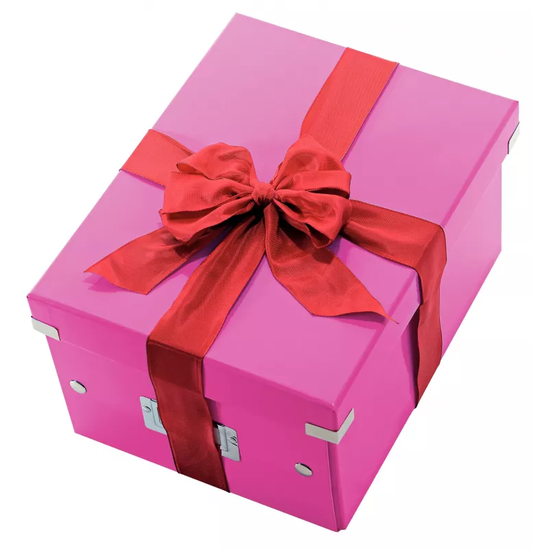 Leitz Click & Store WOW caixa de armazenamento média, rosa, cartão, 16,7 L, 281 mm, 200 mm, 265 x 335 x 188 mm