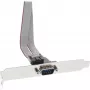 Chapa de slot serial InLine 9 pinos ficha para 10 pinos conector fêmea interno cabo 1:1, 0,6 m, cinzento