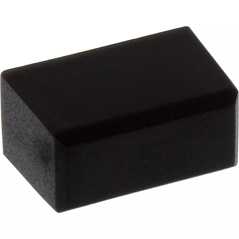 InLine Tampa de proteção contra pó para ficha DisplayPort, preto, 50 unid.