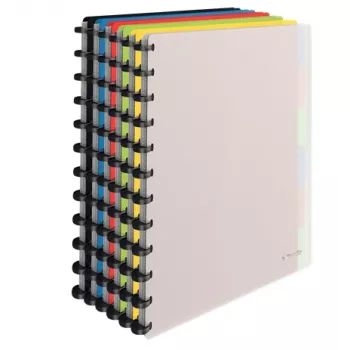 Caderno de anéis Esselte 624014 A4 várias cores