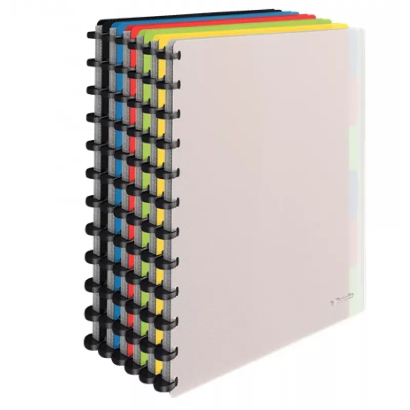 Caderno de anéis Esselte 624014 A4 várias cores