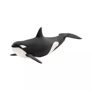 schleich WILD LIFE Orca, 3 ano(s), Gelo & Oceano, Animais selvagens / Brinquedo de aventura, Multicolor, Plástico, 1 unid.
